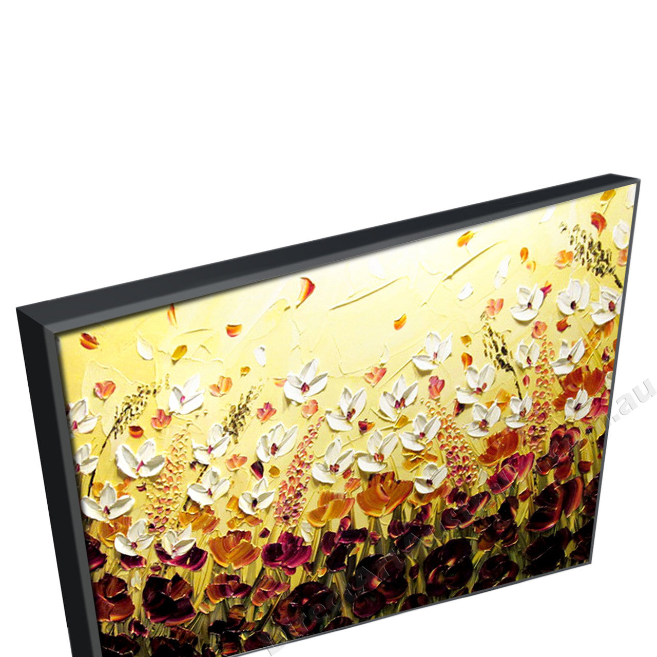 Black Floating Frame