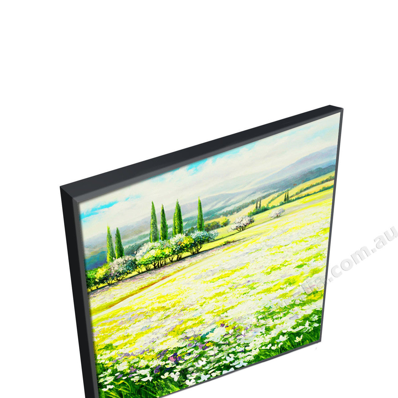 Black Floating Frame