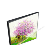 Black Floating Frame