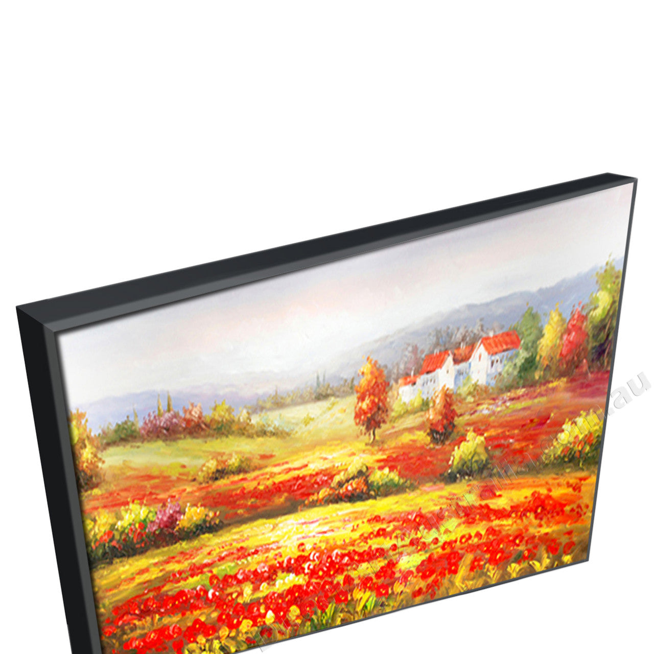 Black Floating Frame