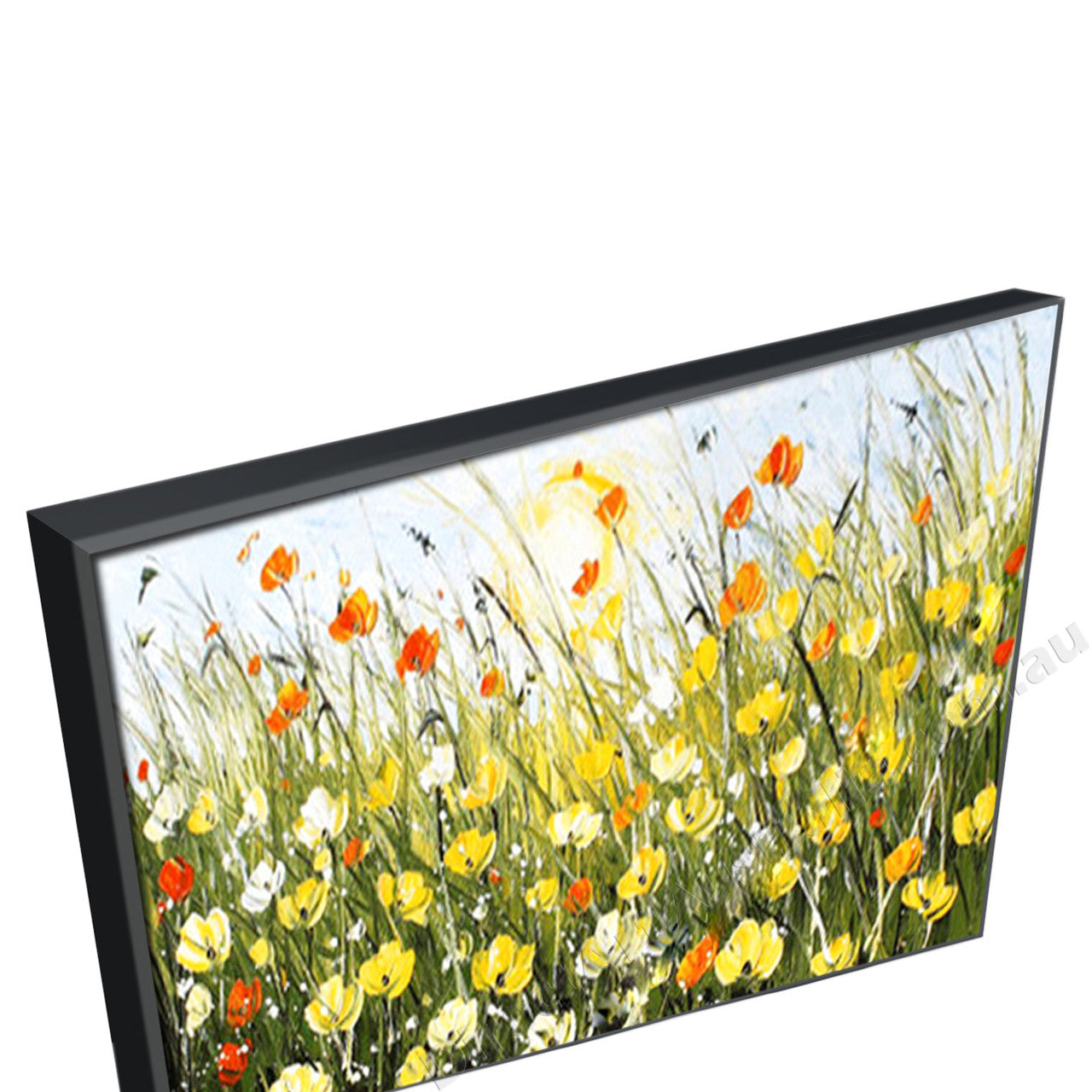 Black Floating Frame