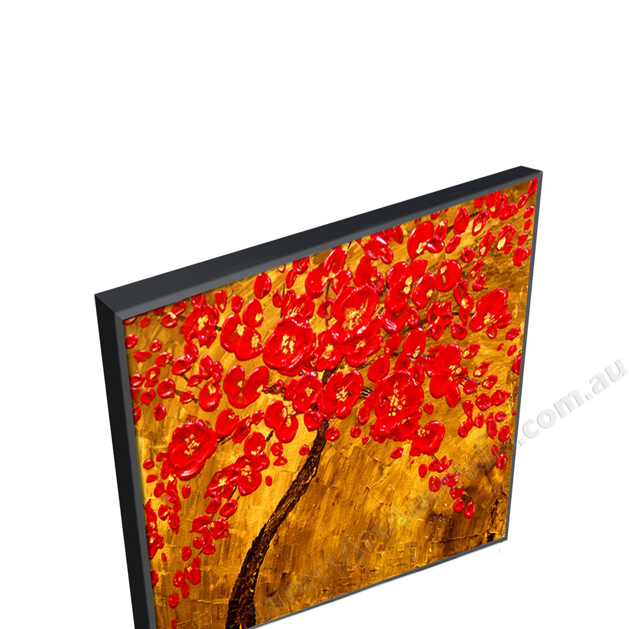 Black Floating Frame