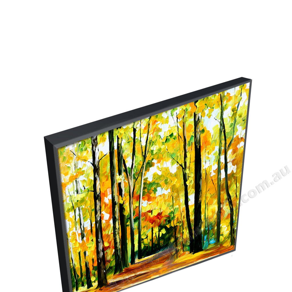 Black Floating Frame