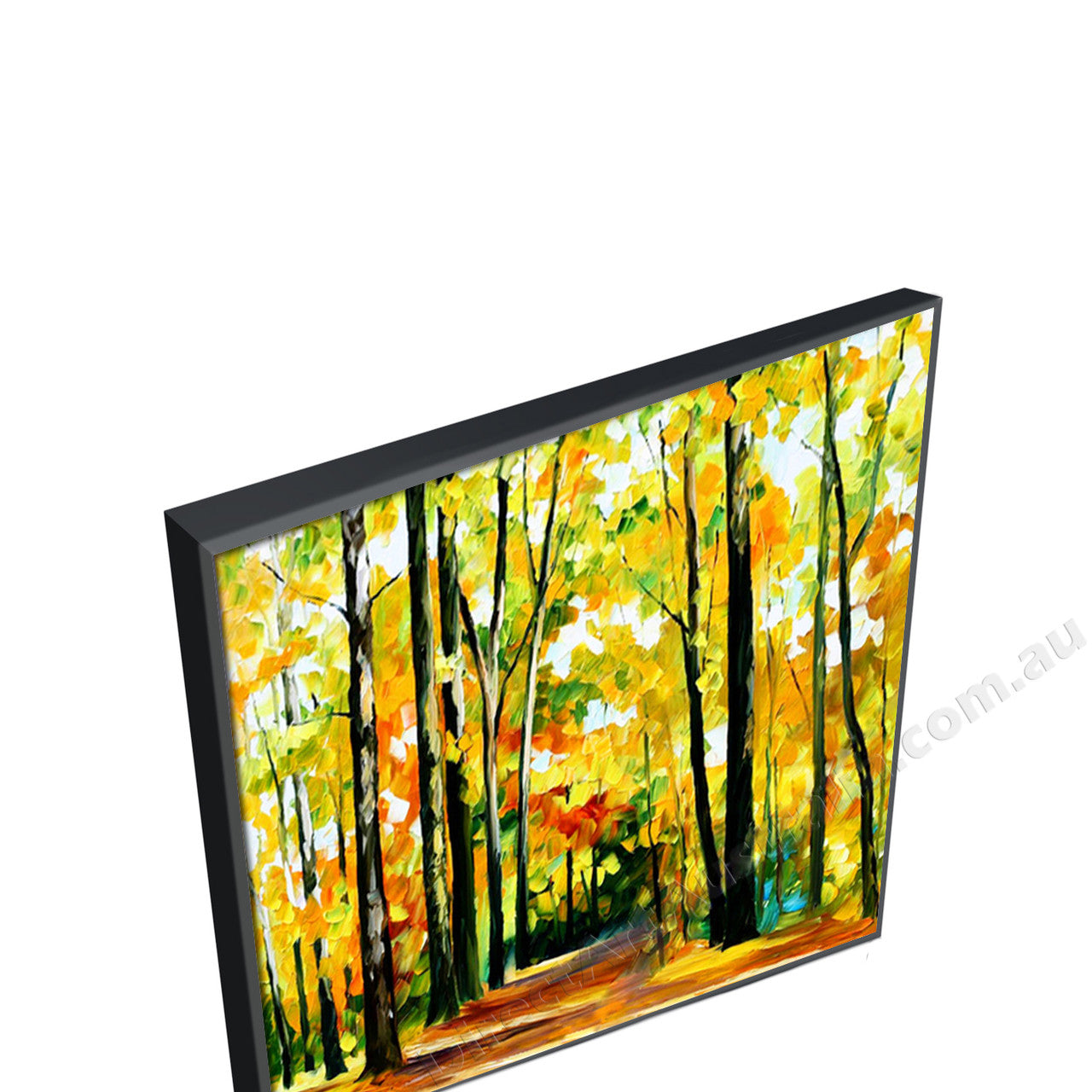 Black Floating Frame