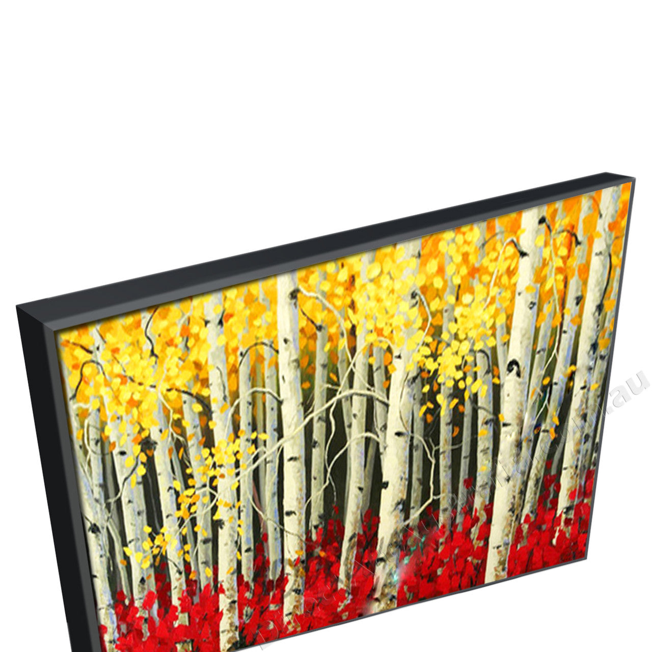 Black Floating Frame