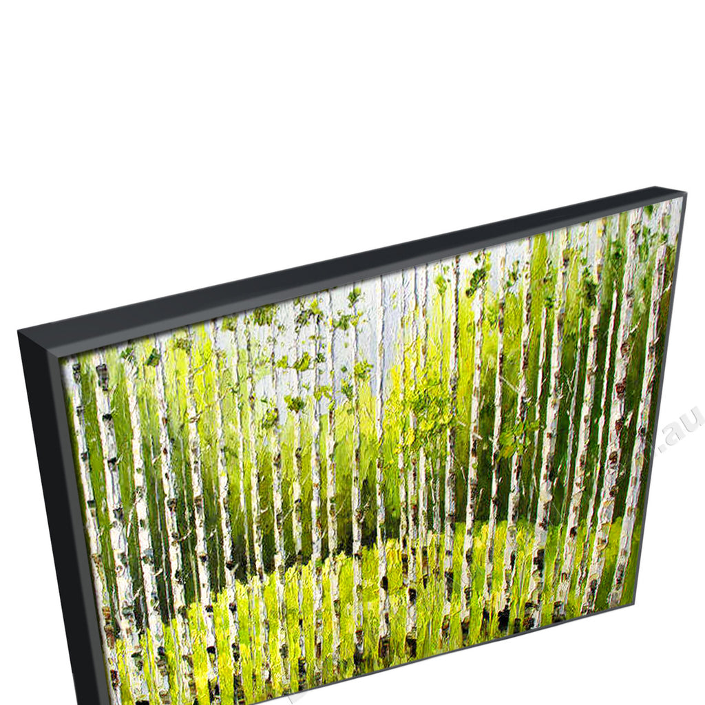 Black Floating Frame