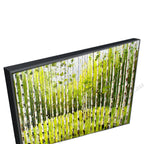 Black Floating Frame