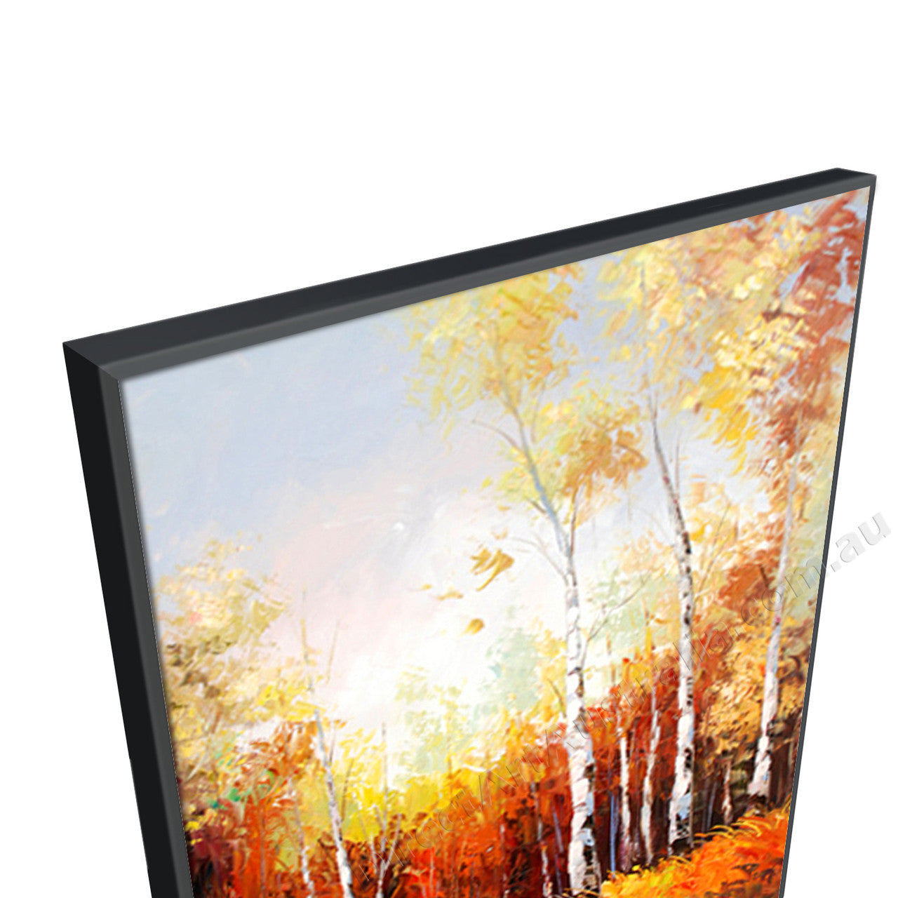 Black Floating Frame