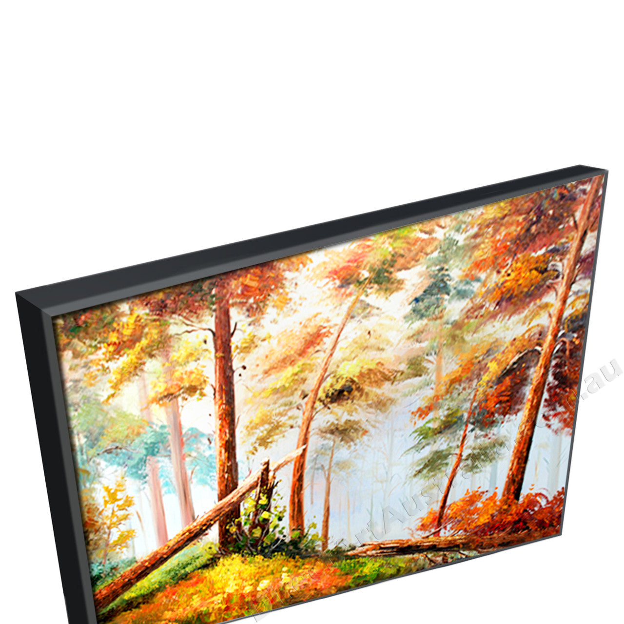 Black Floating Frame