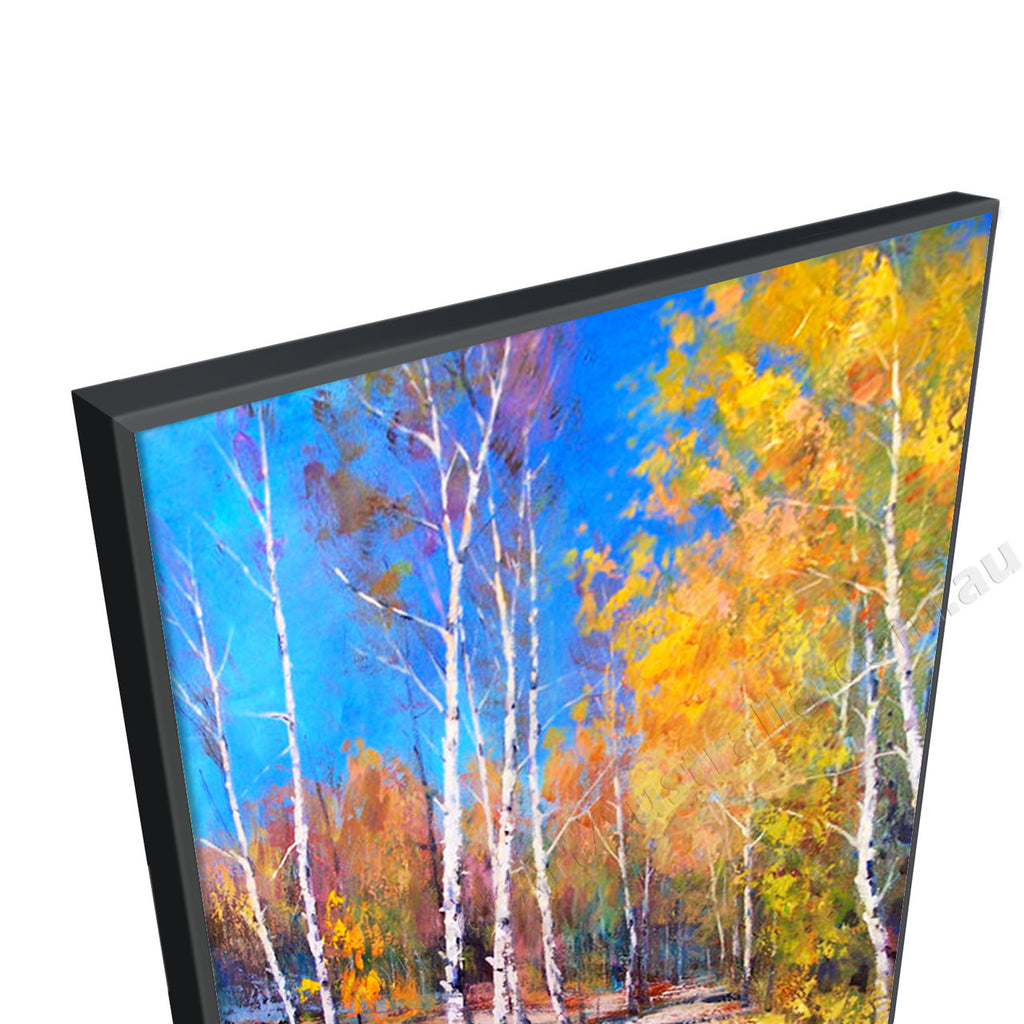 Black Floating Frame