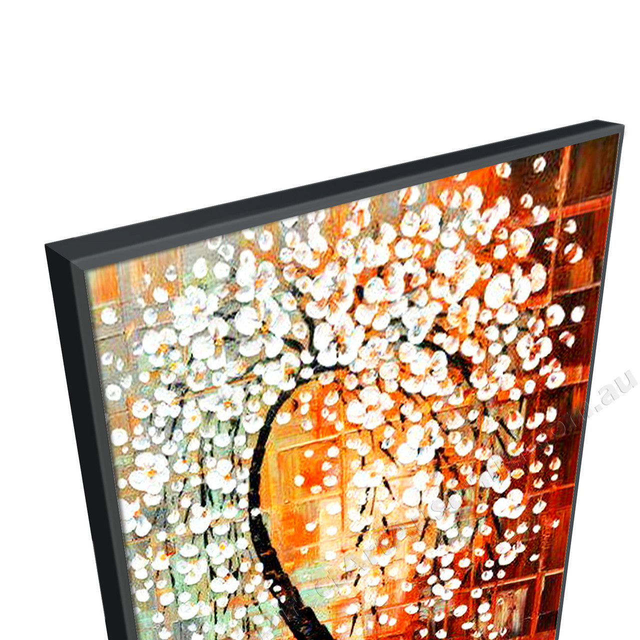 Black Floating Frame