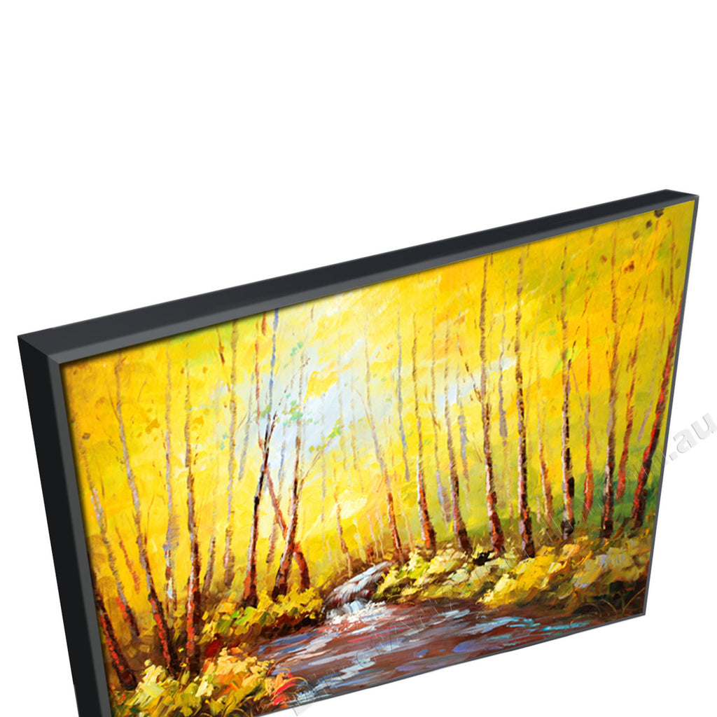 Black Floating Frame