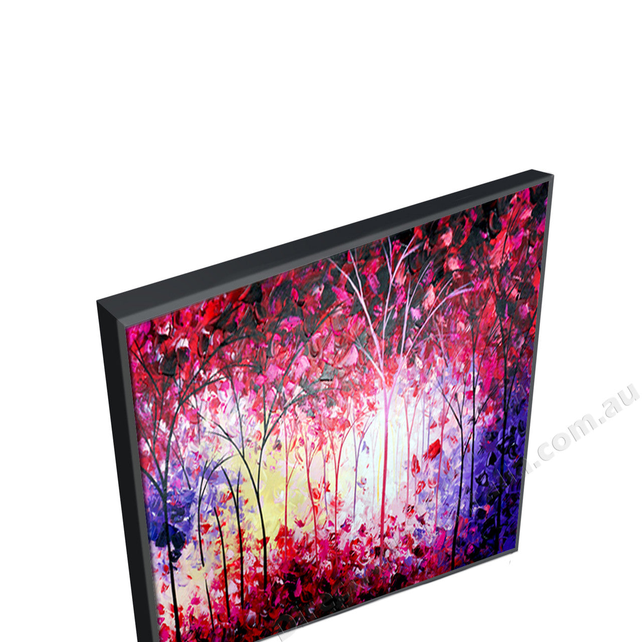 Black Floating Frame