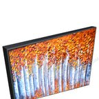 Black Floating Frame