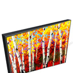 Black Floating Frame