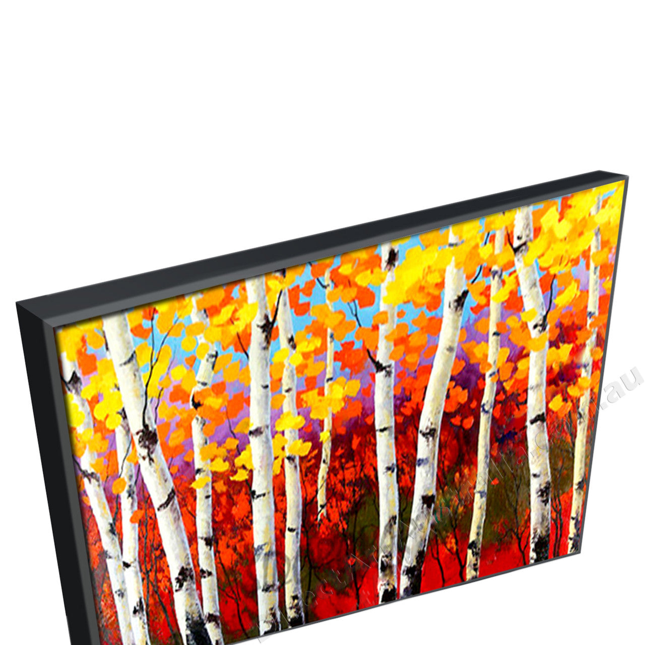 Black Floating Frame