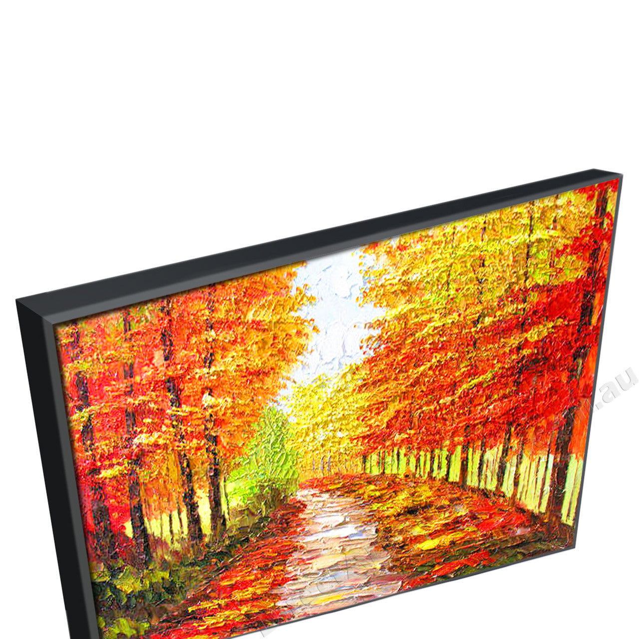 Black Floating Frame