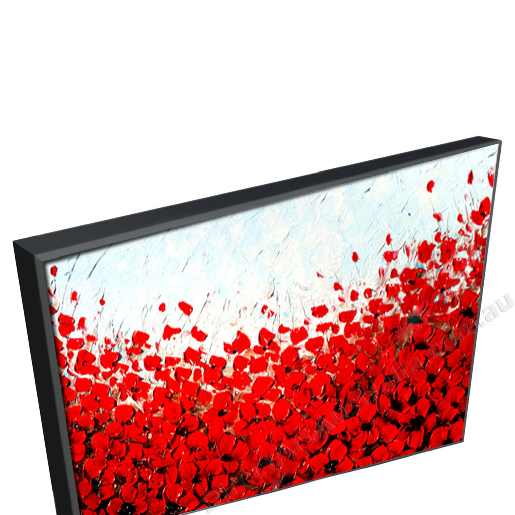 Black Floating Frame