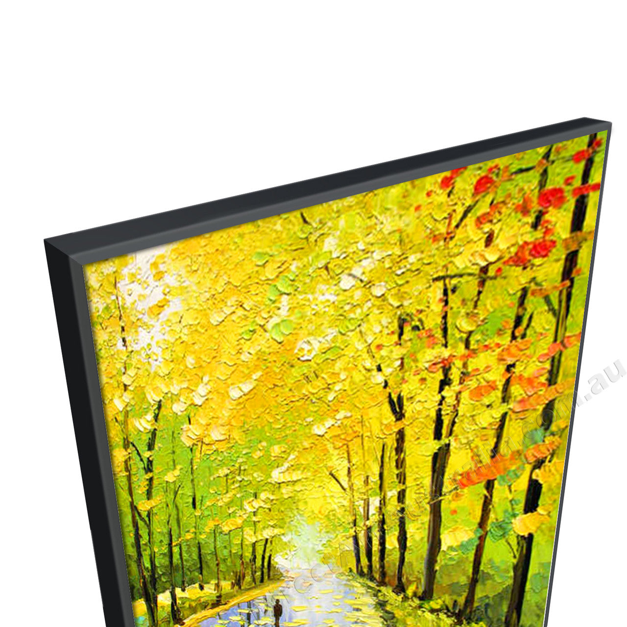 Black Floating Frame