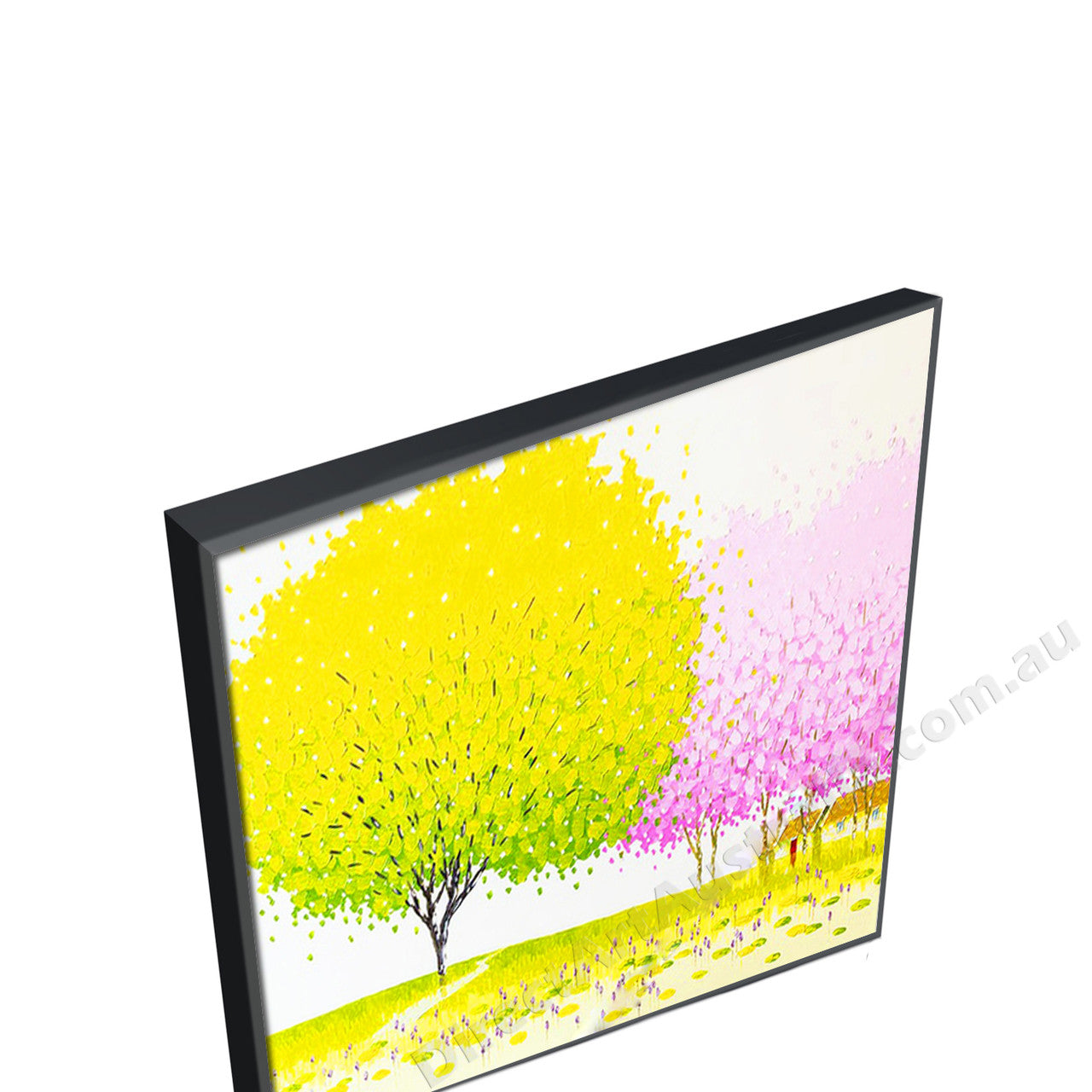 Black Floating Frame