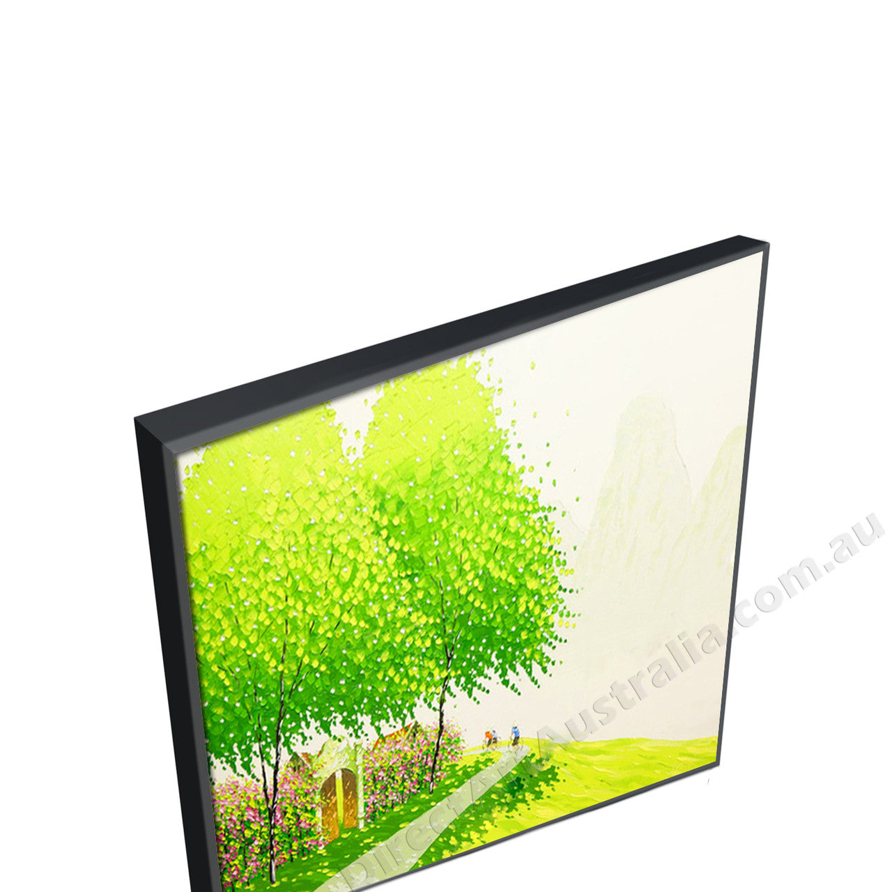 Black Floating Frame