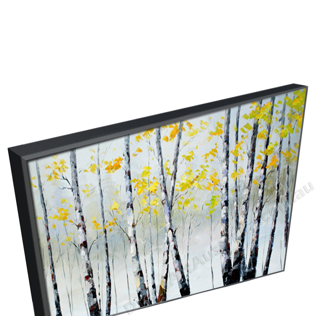 Black Floating Frame