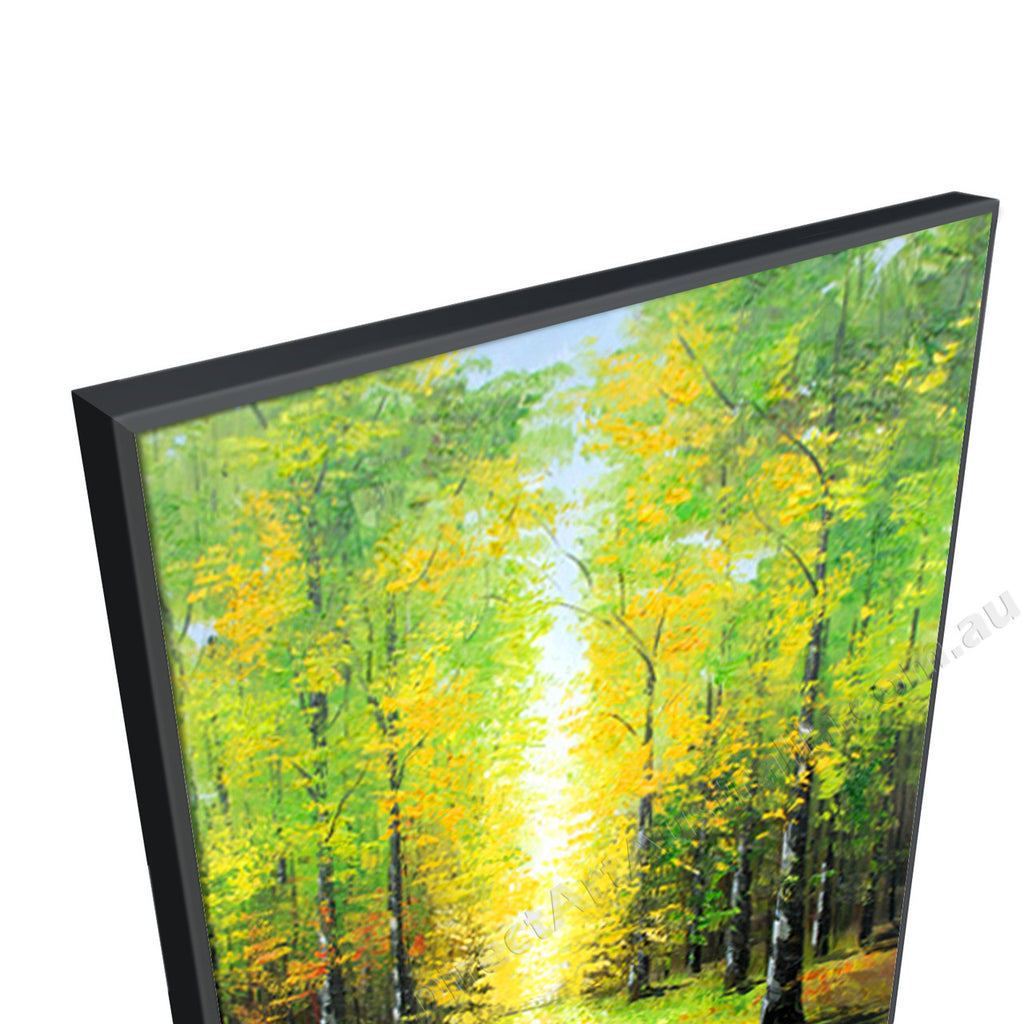 Black Floating Frame