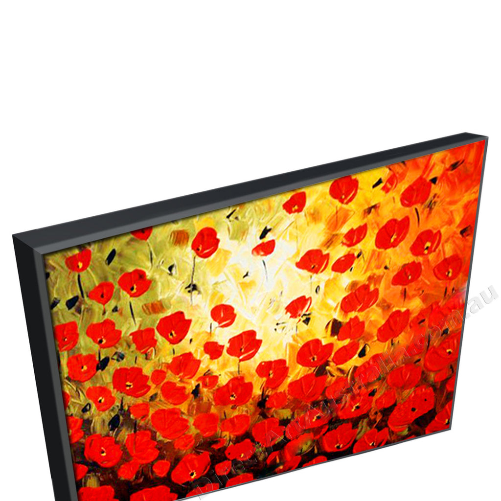 Black Floating Frame