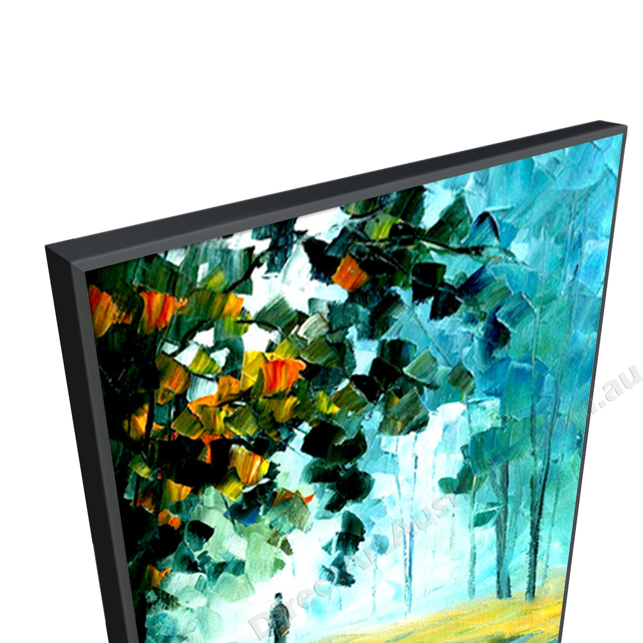Black Floating Frame