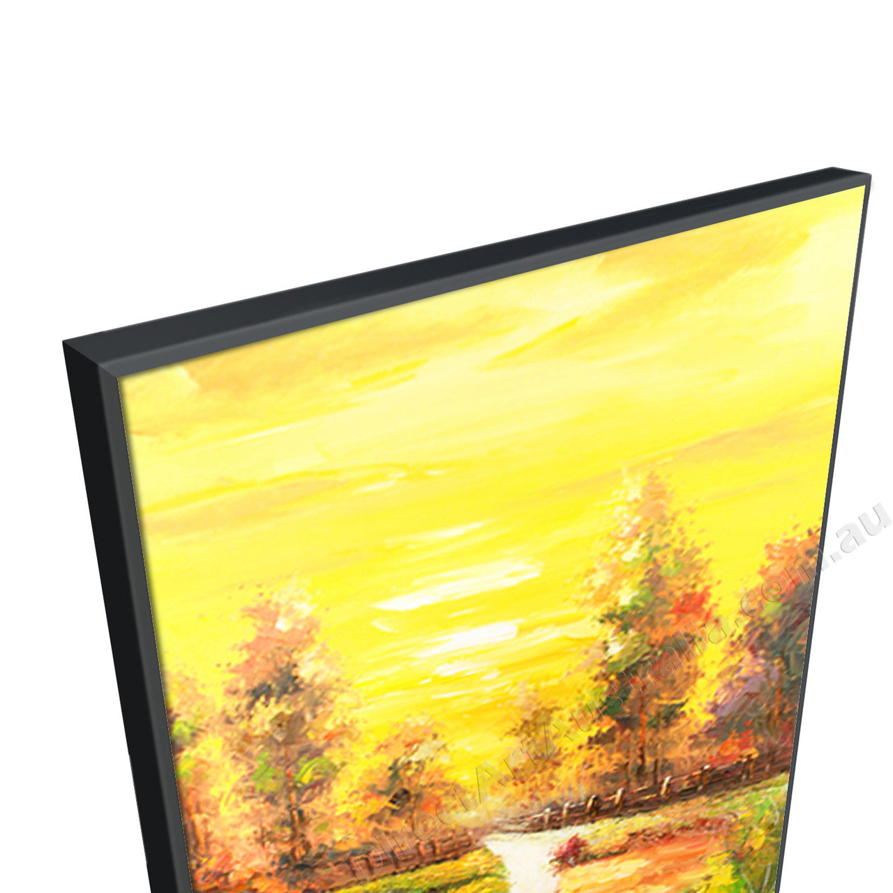 Black Floating Frame