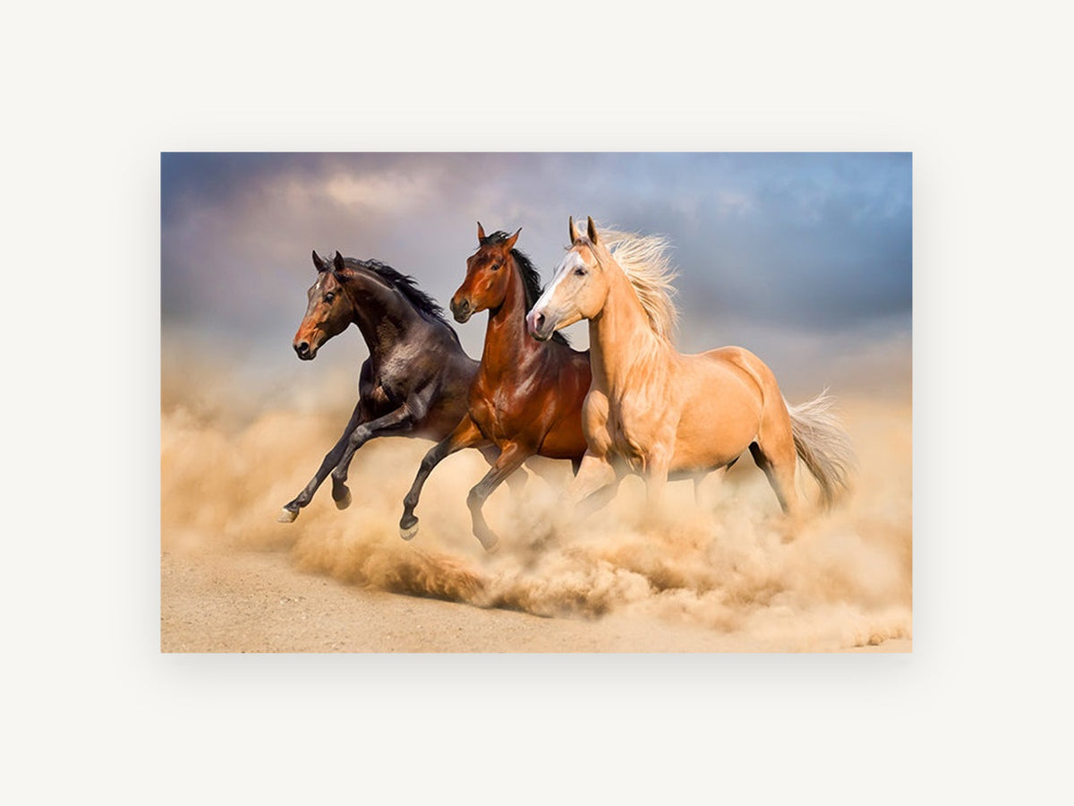 Three Horses Galloping, galloping horses desert dust photograph, landscape canvas wall art print, front view