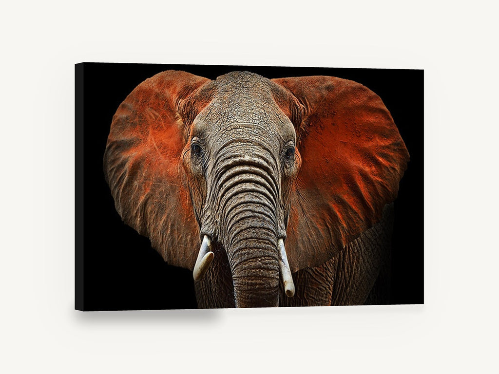 Red Dust Elephant, red dust elephant portrait photograph, animal canvas wall art print ready to hang
