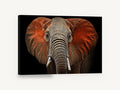 Red Dust Elephant, red dust elephant portrait photograph, animal canvas wall art print ready to hang