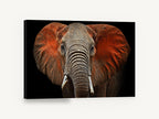 Red Dust Elephant, red dust elephant portrait photograph, animal canvas wall art print ready to hang