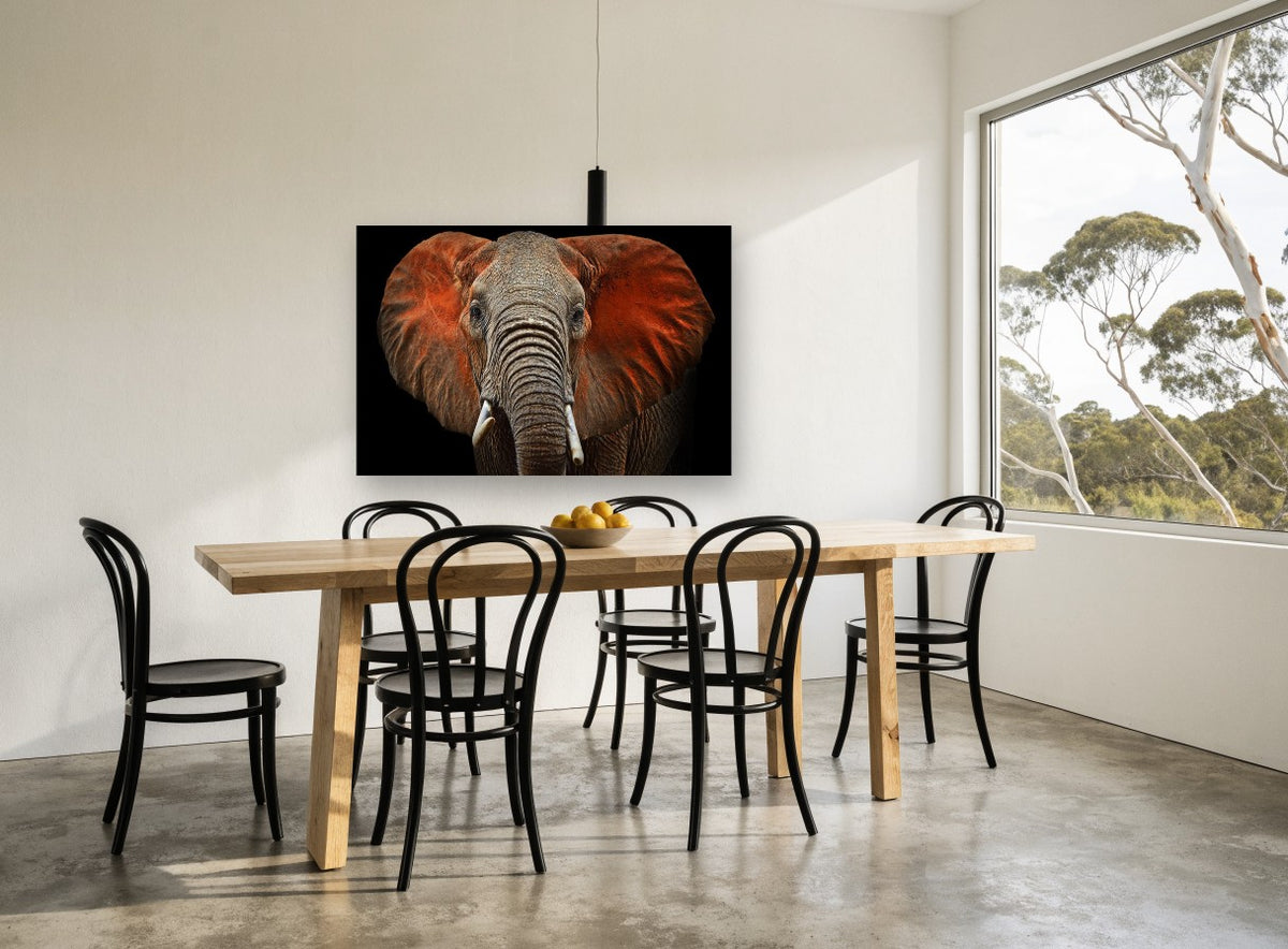 Red Dust Elephant animal canvas print on the wall of a dining room