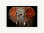 Red Dust Elephant, red dust elephant portrait photograph, animal canvas wall art print, front view