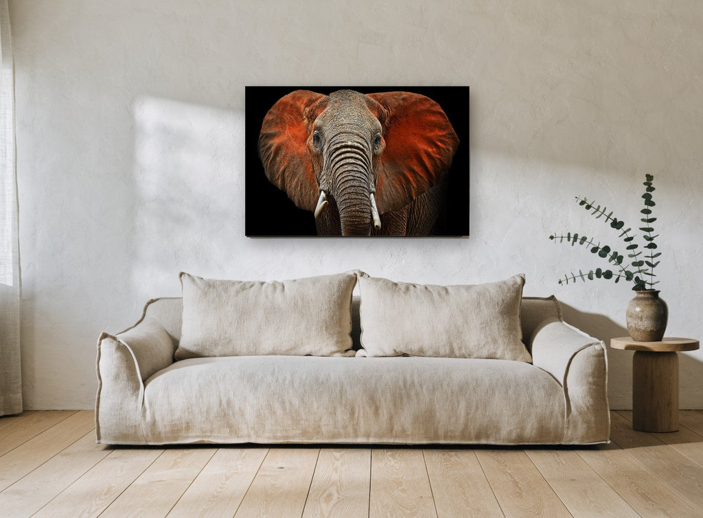 Red Dust Elephant animal canvas print on the wall of a living room