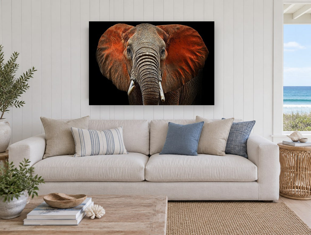 Red Dust Elephant animal canvas print on the wall of a beach house living room