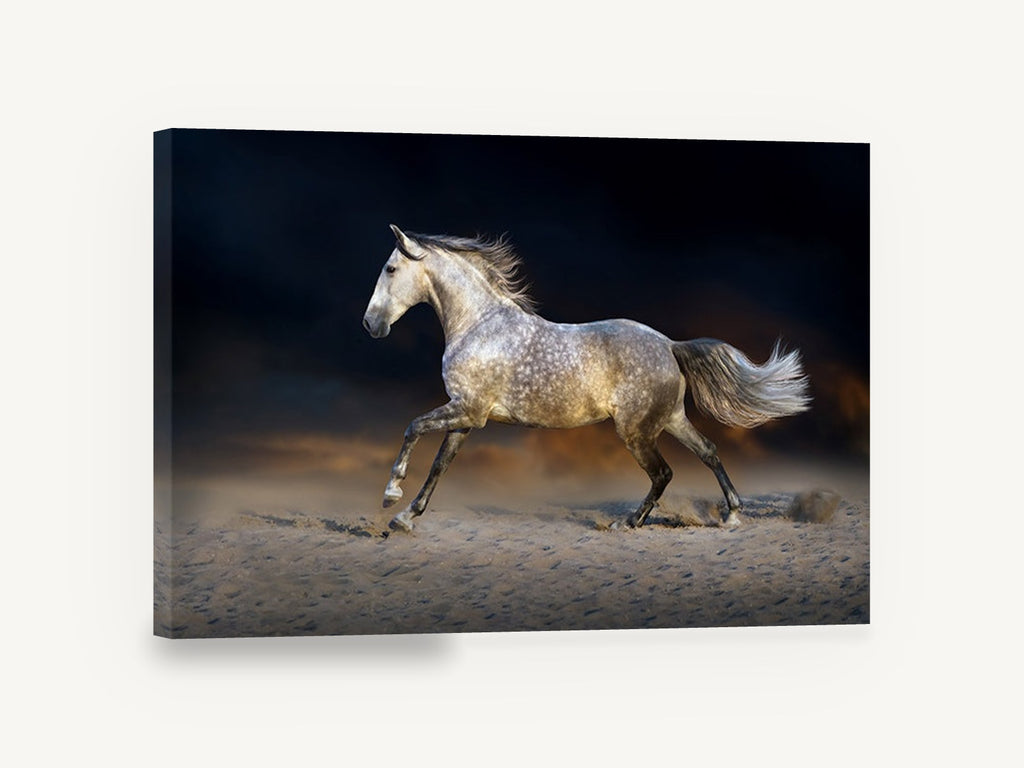 Dapple Grey Gallop, dapple grey horse galloping photograph, animal canvas wall art print ready to hang