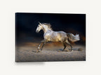 Dapple Grey Gallop, dapple grey horse galloping photograph, animal canvas wall art print ready to hang