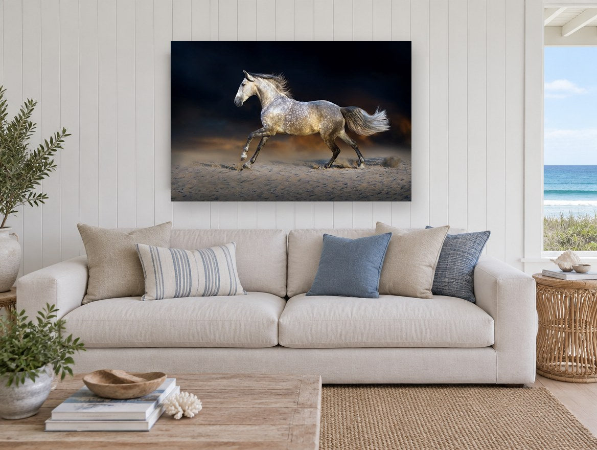 Dapple Grey Gallop animal canvas print on the wall of a beach house living room