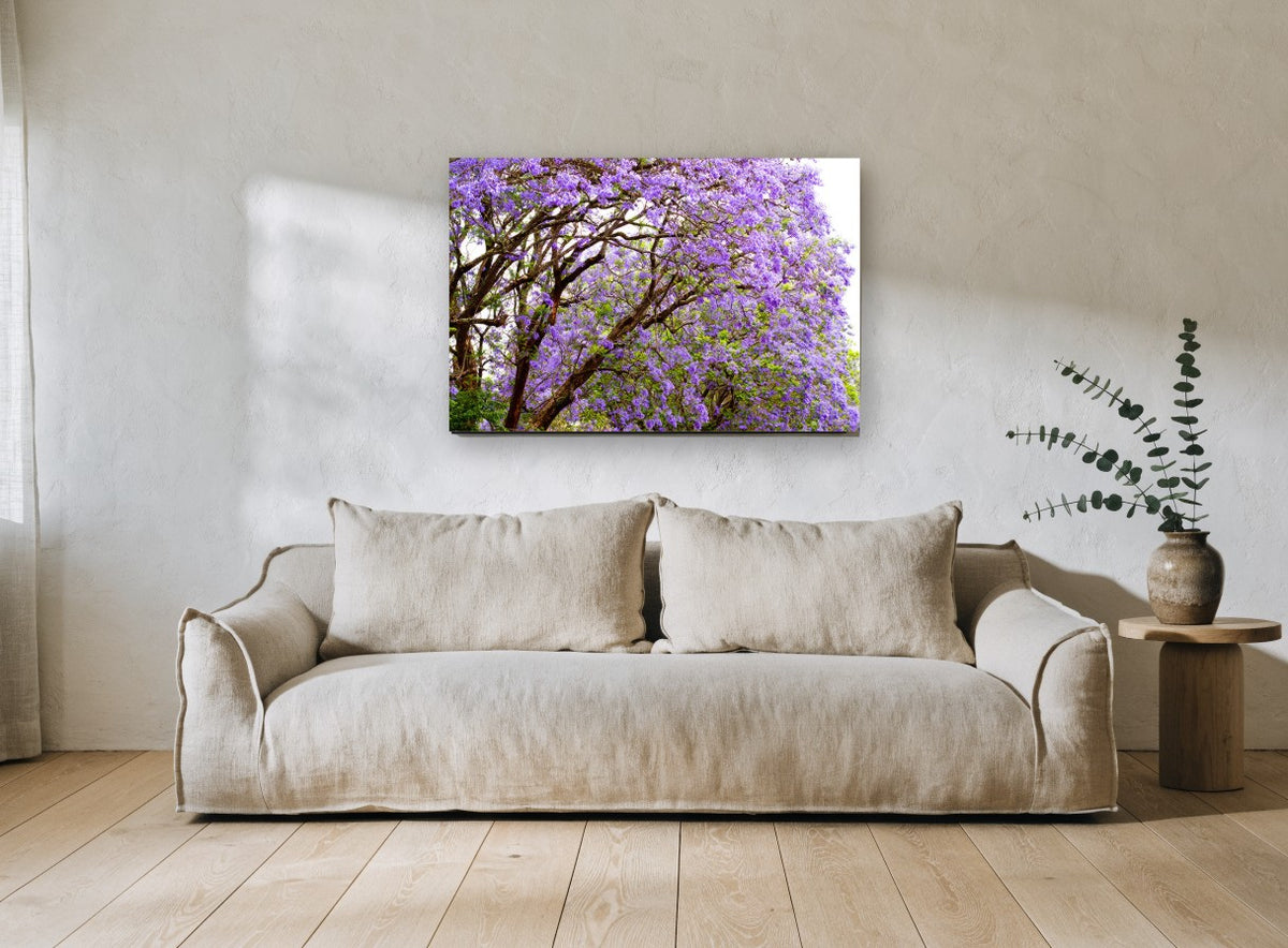 Jacaranda Canopy Bloom floral canvas print on the wall of a living room
