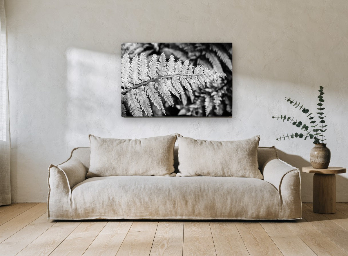Silver Fern Frond floral canvas print on the wall of a living room
