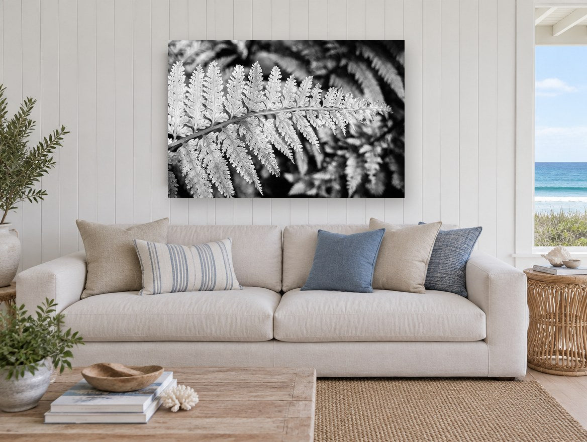 Silver Fern Frond floral canvas print on the wall of a beach house living room