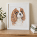 Example of a framed coloured pencil dog portrait of a Cavalier King Charles spaniel with a white mat board