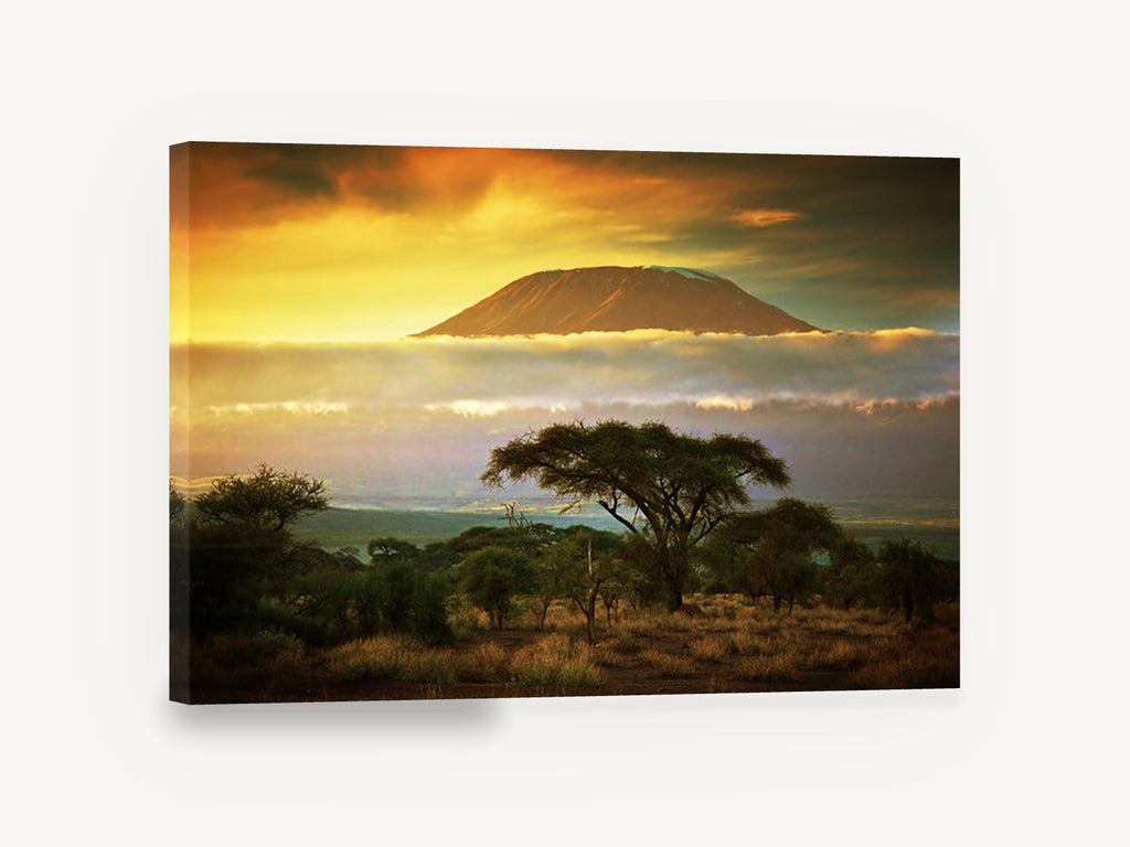 Savanna Peak at Dusk, savanna acacia mountain sunset photograph, landscape canvas wall art print ready to hang