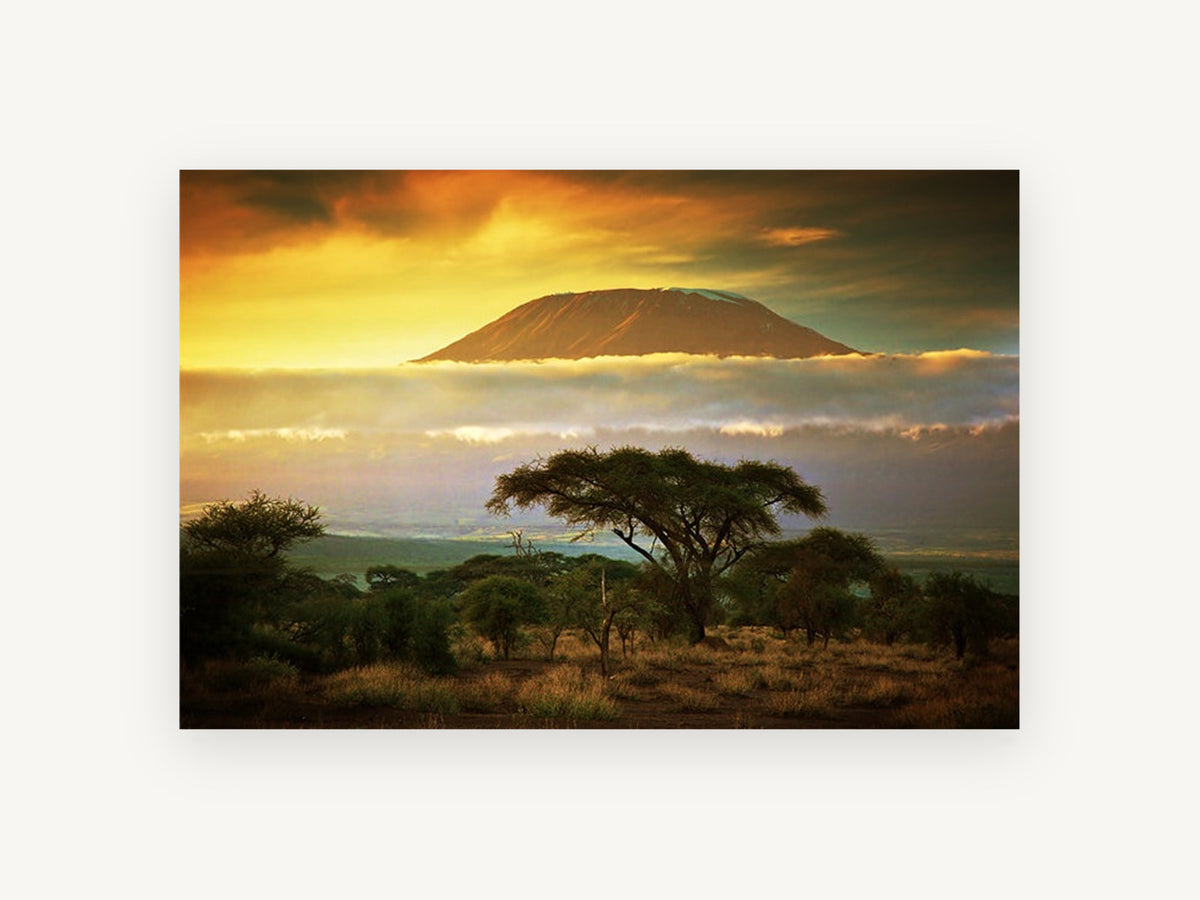 Savanna Peak at Dusk, savanna acacia mountain sunset photograph, landscape canvas wall art print, front view