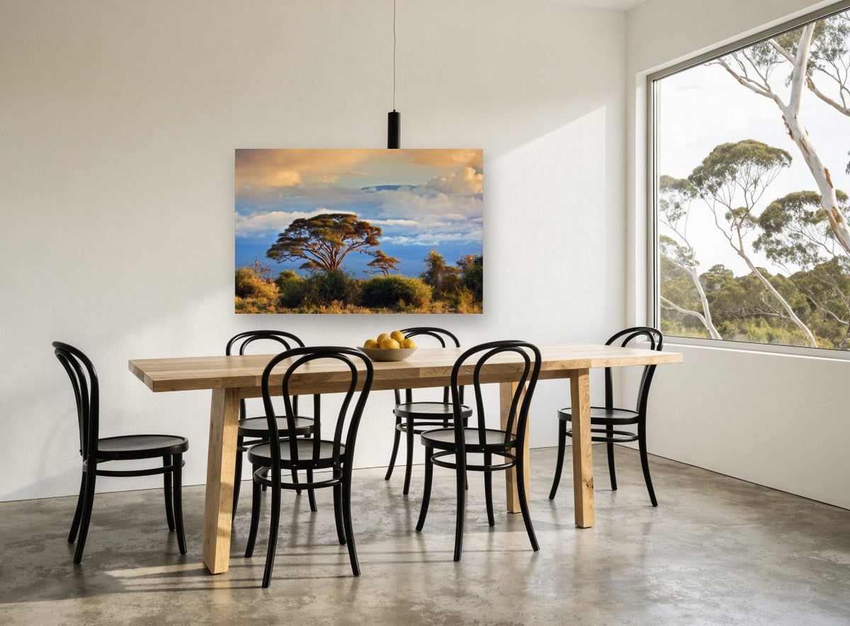 Acacia Under Golden Cloud landscape canvas print on the wall of a dining room