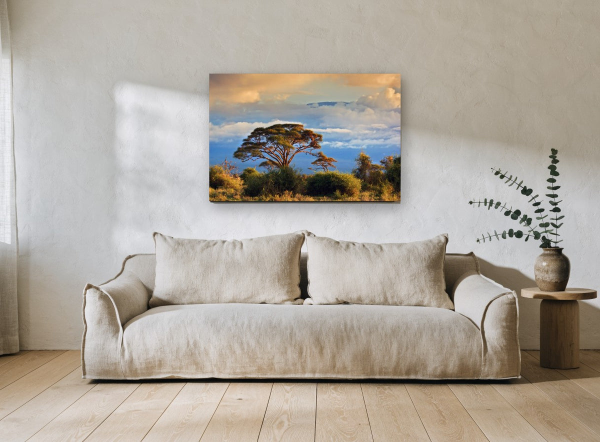 Acacia Under Golden Cloud landscape canvas print on the wall of a living room