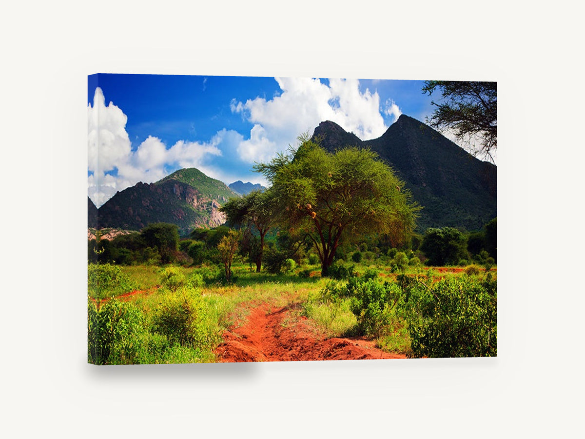 Red Track Savanna, savanna mountains red earth photograph, landscape canvas wall art print ready to hang